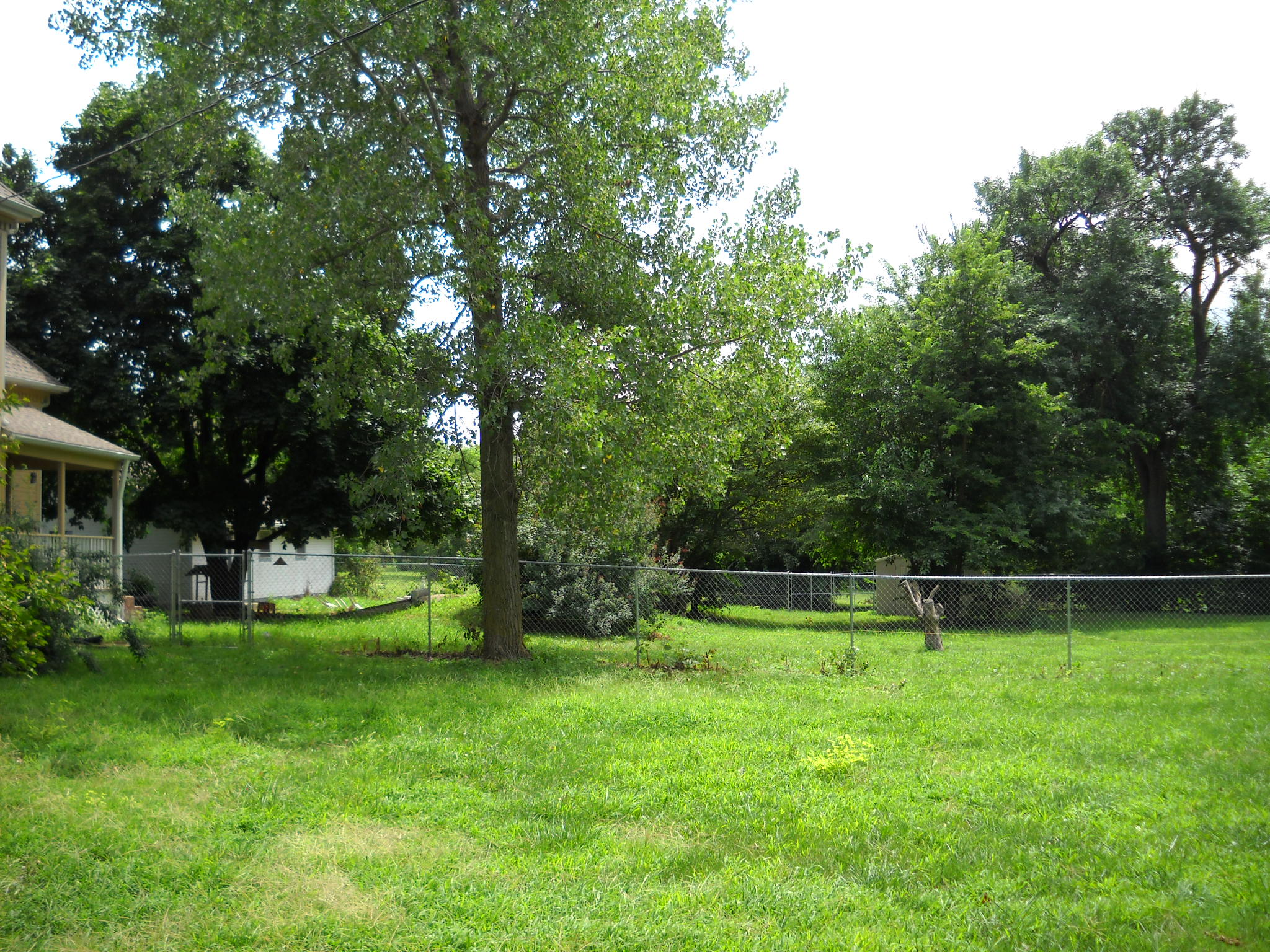 Olmsted Real Estate and Auctions